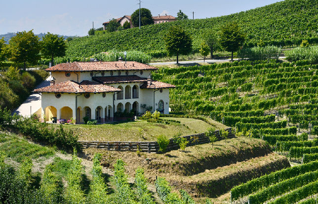 Vinsmagning Massimo Rattalino fra Piemonte d. 19 november kl. 19 - BAReVIN, Aarhus C